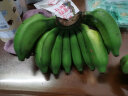 寻味君 广西 香蕉 小米蕉 新鲜水果 9斤装 实拍图