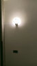 尚旗卧室壁灯床头灯客厅现代简约个性中式可选遥控调光国画走廊过道灯 小号-蒲公英20cm 暖光-壁控 实拍图