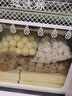 森森（SUNSUN）鱼缸过滤材料细菌屋玻璃环生化球麦饭石水族滤材过滤用品 升级版细菌球500g【贈水质安定剂胶囊】 实拍图