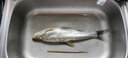 达亿瓦（DAIWA）新款 SWEEPFIRE 进口入门路亚竿 轻量远投路亚钓鱼竿钓竿 662MFS（1.98米中调直柄） 实拍图