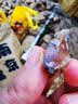 易之力专业勘探锤 尖头扁头锤子逃生锤专业地矿勘探工具地质锤 小尖头地质锤 实拍图