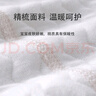 安贝九彩鸟新生儿婴儿分体套装秋冬保暖纯棉三层夹棉男女宝宝衣服外套家居服 蓝净面【保暖两件套】-高腰 90 cm 14-18个月【偏大】25-30斤 实拍图