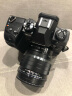 奥林巴斯（OLYMPUS）E-M1X 微单相机 数码相机 微单机身 旗舰型专业照相机 鸟类自动对焦 手持生态摄影 晒单实拍图