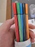 迪士尼(Disney)12色可洗水彩笔 学生彩色绘画涂色笔 儿童六角杆画画笔 冰雪奇缘系列D01479F 实拍图