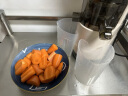 MOKUSAN 榨汁机汁渣分离家用水果蔬菜料理机商用便携大型口径免切过滤原汁机 米色（大口径）升级款+冰淇淋网 实拍图