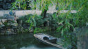 索尼（SONY）全画幅 定焦镜头 微单镜头 50F1.8/35F1.8 /55F1.8 /85F1.8  人像 特写 街拍 夜景大光圈定焦 FE55F1.8 ZA蔡司 实拍图