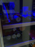 奥克斯（AUX）红酒柜 家用商用恒温冷柜冰吧 饮料柜商用单门小型冰箱 茶叶冷藏保鲜柜留样办公寓酒吧用 220升【冷藏+风冷+蓝光灯+电子温控】 实拍图