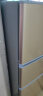 【旗舰店】申花（SHENHUA ）小冰箱三门家用小型冷藏冷冻出租房宿舍寝室办公室三开门节能省电冰箱 【BCD-78A152-78L-三门三温 金色】 晒单实拍图