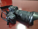 尼康（Nikon） Z 6II单机套机全画幅微单相机Z62/Z6ii/Z6二代24-70套机/拆机4K高清照相机 Z 6II单机（不含镜头） 官方标配【送摄影单肩包+备用电池+卡通热靴盖】 实拍图