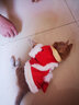 华元宠具（hoopet）猫咪衣服过年喜庆唐装猫猫冬季保暖衣小猫衣服新年拜年舞狮服装 恭喜发财舞狮唐装 XS：根据图片尺寸选择 实拍图