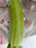 密农人家 农家新鲜 西葫芦 炒菜脆嫩爽口 番瓜 绿皮西葫芦 新鲜蔬菜 500g 实拍图