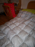 水星系列家纺100%羽绒被95白鹅绒被子静音被芯春秋季被单双人加厚保暖冬被学生 静音全棉羽绒被灰色扭花款 150x200加厚冬被（填充1400克鹅绒） 实拍图