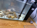 森森 水族鱼缸过滤器 外置壁挂过滤器 去除油膜瀑布式过滤 HBL-802壁挂过滤桶适配40-60cm鱼缸 实拍图