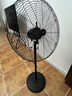 红双喜（RED DOUBLE HAPPINESS）工业风扇牛角扇强力大风力落地扇家用商用吹甲醛电风扇工厂立式大功率摇头风扇SY 650升级铜芯【2.8米线长】强劲风 实拍图