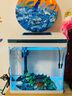 MinkSheen 鱼缸水族箱金鱼缸超白玻璃鱼缸水族箱客厅桌面创意小型免换水 过滤增氧+造景+温显+磁力刷【50厘米鱼缸】 实拍图