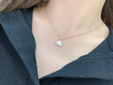 法蔻（farcoko）项链女小马蹄银镶钻锁骨链简约颈链生日礼物送女友老婆 小马蹄锁骨链 把你放在心中 实拍图