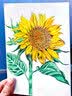 霹雳马（PRISMACOLOR）彩色铅笔 彩铅笔 单只黑色油性画笔 绘画写生 美国三福霹雳马PC935美术写生画画笔 实拍图