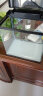 森森（SUNSUN） 鱼缸水族箱金鱼缸带灯鱼缸过滤器玻璃鱼缸桌面鱼缸 黑色 HR-300含鱼缸 灯 水泵（带18件） 实拍图