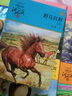 母豺火烧云 动物小说大王沈石溪品藏书系 小学生三四五六年级课外儿童文学书 实拍图