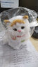 亦趣仿真猫玩偶会叫小猫咪毛绒玩具摆件可爱猫咪公仔儿童生日新年礼物 黄头会叫猫咪+铃铛 实拍图