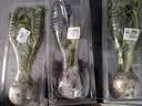 寿禾 寿光蔬菜苗组合套装批发大全菜苗秧苗子种菜秋冬季秧苗山东 红黄圣女果苗各3棵 实拍图