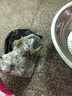 玩冒（WMO）玫瑰花大苗【3株+盆土肥】可自选当年开花大苗盆栽地栽耐寒花卉 粉色少女【3棵+盆土肥】 实拍图
