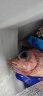 鲜拔头筹 红石斑鱼 大眼鱼富贵鱼深海鱼生鲜鱼类 海鲜水产 3斤3条 实拍图