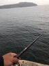 达亿瓦（DAIWA） 18款 矶风CS 手海两用竿 矶钓竿矶竿海钓竿 碳素钓鱼竿进口钓鱼 3号-45.CS V 实拍图