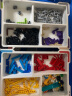 乐高（LEGO）教育BricQ趣动 10岁+ 机器人steam儿童玩具EV3编程积木生日礼物 45400 BricQ 趣动套装 晒单实拍图