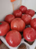千朵云山东烟台普罗旺斯西红柿 小番茄自然熟应季蔬菜水果可选礼盒装 5斤精美礼盒装 晒单实拍图