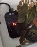 宠易生鱼缸加热棒龟缸加热加温器低水位自动恒温LED温度计离水断电25W 实拍图