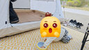 伯希和户外野餐垫防潮垫小学生午休睡垫帐篷加厚防水加厚地垫16102816黄 实拍图