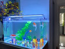 YEE鱼缸金晶超白玻璃水族箱小型桌面客厅40金鱼缸裸缸热弯鱼缸自循环 60*30*35cm+壁挂过滤器+鱼缸灯 实拍图