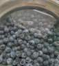 joyvio佳沃 当季云南蓝莓原箱12盒装 约125g/盒 生鲜 新鲜水果 实拍图