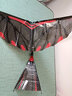 ZT MODEL翼神扑翼机手抛飞机橡皮筋飞机玩具儿童户外玩具飞机航模滑翔飞机 翼神II+普及型橡筋 实拍图