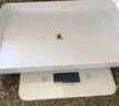 小白秤小白秤宠物专用体重秤家用猫咪狗狗称重器精准医院用宠物店高精度 升级款（2g-10斤）送宠物健康管理小程序 实拍图