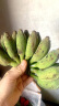 NANGUOXIANSHENG广西小米蕉 糯米蕉 西贡蕉 新鲜香蕉 生鲜水果 1斤 晒单实拍图
