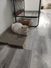 多格漫（DoggyMan）凯迪漫猫咪美味时间猫咪妙湿粮鲜包鱼罐包 成猫幼猫湿粮猫零食罐头 55g/包 06 金枪鱼&鲣鱼·小银鱼（55g * 12包） 实拍图
