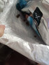 陪伴岁月冻干猫粮 幼猫成猫宠物无谷猫粮猫主食 宠物粮蓝猫猫粮 幼猫猫粮1.5kg 实拍图