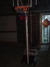 领跑虎（Lingpaohu）儿童篮球架户外成人篮球框室内外移动升降便携式家用篮筐投篮架 青少年款8-16岁【5号球+气筒】 实拍图