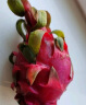 越南进口红心火龙果 4个装 红肉中果 单果约330-420g 新鲜水果 实拍图
