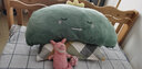 物枕居 可爱靠枕床头抱枕女生睡觉款专用床上靠垫大靠背寝室卡通枕头 绿色恐龙 大号100*45cm(有内胆可拆洗) 实拍图