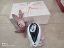 凯沃斯眼部按摩仪送男女朋友生日礼物眼睛蒸汽护眼仪智能美容按摩器蓝牙音乐眼罩气囊热敷送老公中秋礼物 AI语音版/粉【礼盒版】 实拍图
