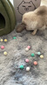 宠六一 猫咪玩具球 逗猫球 静音弹性涤纶毛绒球 解闷自嗨 毛球 猫猫 绒毛球 直径3cm 马卡龙混色50个 实拍图