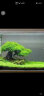 森森（SUNSUN）鱼缸冲浪泵水族箱造浪泵横流造流泵 JVP-201A 12w适合1米到1.2米的鱼缸 实拍图