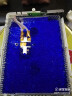 贝傅特 蓝色变色硅胶防潮珠3-5mm大颗粒 单反电子产品干燥剂 变压器除湿剂工业机械仪器设备防潮剂 实拍图