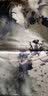 杭丝府真丝丝巾女中国风围巾桑蚕丝披肩老婆妈妈生日礼物礼盒 繁花 实拍图