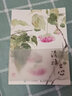 清雅之心 新田小写意 花鸟国画基础教程写意梅兰竹菊虫鸟水墨国画技法入门零基础教程书籍古风传统 实拍图