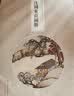 沈周东庄图册 精选21帧明代绘画大师经典江南景观画作品集 单片装帧高清还原可临摹鉴赏收藏中国画册页浙江人民美术出版社图书籍 晒单实拍图