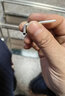 余佳乐居 厨房置物架落地不锈钢台面厨具收纳架筷子筒砧板架刀架调料架 【双层50CM】带筷子筒+砧板架+6钩 【不锈钢】 实拍图